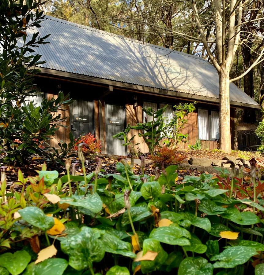 Emerald Star Cottages Buitenkant foto