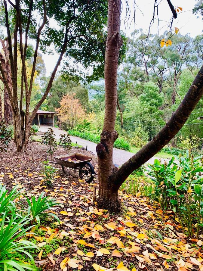 Emerald Star Cottages Buitenkant foto